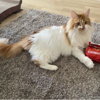 むかい 会員画像