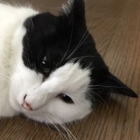 うめぢさん