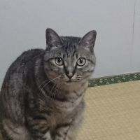 ももとかりん 会員画像