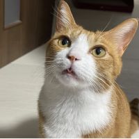 ゆずぞうさん