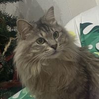 みにゃたろう 会員画像