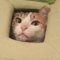 ひなたん0630 会員画像