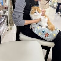 ちゃちまる 会員画像