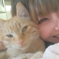 まよかよさん