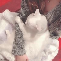えりりりさん