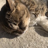 pii_man__ 会員画像