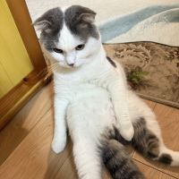 UK_9702さん