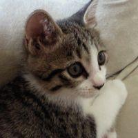 えぃちゃんさん