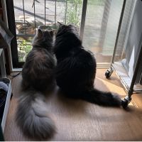 会員画像