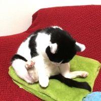 会員画像