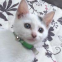 サンジェル 会員画像