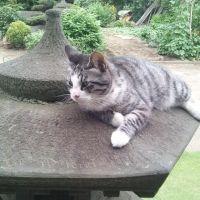 まさじろうさん