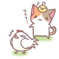 会員画像