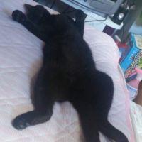 会員画像
