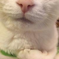 会員画像