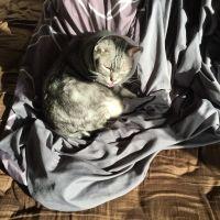 はなちの母さん 会員画像