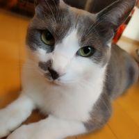 らぴぴ 会員画像