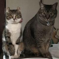 会員画像