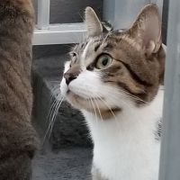 なおすまいる 会員画像