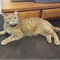 のりまるくん 会員画像