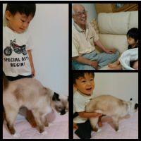 うめだみぃ 会員画像