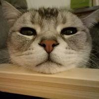 みーやんさん 会員画像