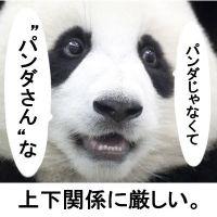小岩パンダさん