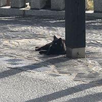 ざわざ 会員画像