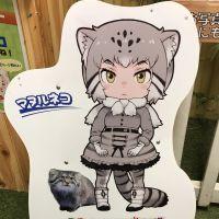 うにー 会員画像