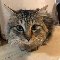 もりみ 会員画像
