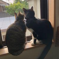 たにーば 会員画像