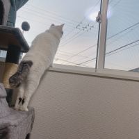 会員画像