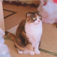 づか 会員画像