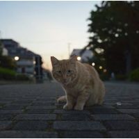 会員画像