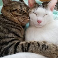 会員画像