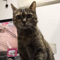 ももくそさん 会員画像
