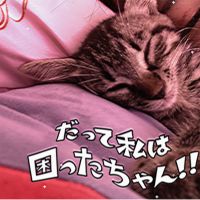 会員画像