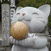 会員画像