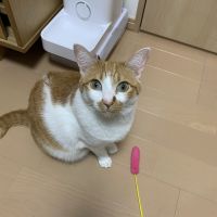 きなコ 会員画像