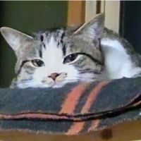 会員画像