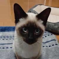 832さん