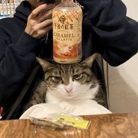 kiteさん