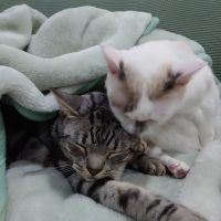 ぶんた&ちゅら 会員画像