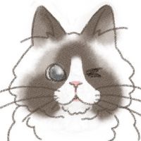 梵天丸にゃ 会員画像