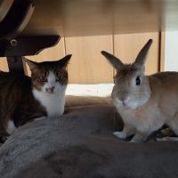 新米&きぃさん