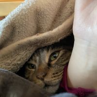 はちみず 会員画像