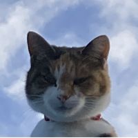 五十嵐 福 会員画像