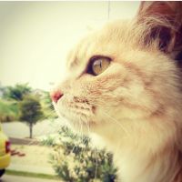 りんこママ 会員画像