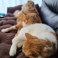 テツジロウ 会員画像