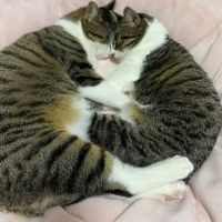 オジマ 会員画像